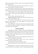 Referāts 'Zemgales novada tautas tērps', 10.