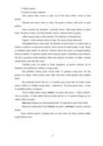 Referāts 'Zemgales novada tautas tērps', 12.