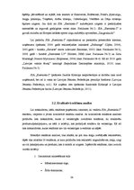 Diplomdarbs 'SIA "Ezernieki-I" drukātās reklāmas izstrāde', 34.