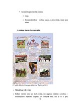 Diplomdarbs 'SIA "Ezernieki-I" drukātās reklāmas izstrāde', 36.