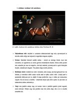 Diplomdarbs 'SIA "Ezernieki-I" drukātās reklāmas izstrāde', 40.