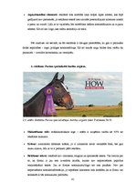 Diplomdarbs 'SIA "Ezernieki-I" drukātās reklāmas izstrāde', 41.