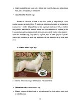 Diplomdarbs 'SIA "Ezernieki-I" drukātās reklāmas izstrāde', 42.