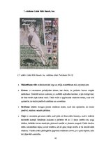 Diplomdarbs 'SIA "Ezernieki-I" drukātās reklāmas izstrāde', 45.