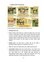 Diplomdarbs 'SIA "Ezernieki-I" drukātās reklāmas izstrāde', 48.