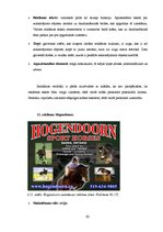 Diplomdarbs 'SIA "Ezernieki-I" drukātās reklāmas izstrāde', 50.