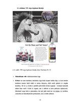 Diplomdarbs 'SIA "Ezernieki-I" drukātās reklāmas izstrāde', 52.