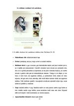 Diplomdarbs 'SIA "Ezernieki-I" drukātās reklāmas izstrāde', 55.