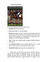 Diplomdarbs 'SIA "Ezernieki-I" drukātās reklāmas izstrāde', 56.