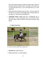 Diplomdarbs 'SIA "Ezernieki-I" drukātās reklāmas izstrāde', 58.