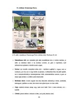 Diplomdarbs 'SIA "Ezernieki-I" drukātās reklāmas izstrāde', 60.