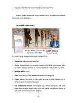 Diplomdarbs 'SIA "Ezernieki-I" drukātās reklāmas izstrāde', 61.