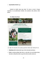 Diplomdarbs 'SIA "Ezernieki-I" drukātās reklāmas izstrāde', 62.