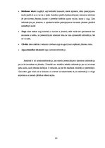 Diplomdarbs 'SIA "Ezernieki-I" drukātās reklāmas izstrāde', 63.