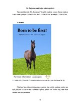 Diplomdarbs 'SIA "Ezernieki-I" drukātās reklāmas izstrāde', 74.