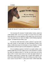 Diplomdarbs 'SIA "Ezernieki-I" drukātās reklāmas izstrāde', 76.