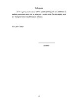 Diplomdarbs 'SIA "Ezernieki-I" drukātās reklāmas izstrāde', 85.