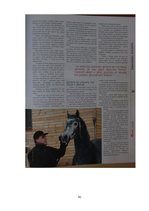 Diplomdarbs 'SIA "Ezernieki-I" drukātās reklāmas izstrāde', 91.