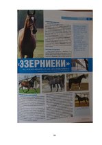 Diplomdarbs 'SIA "Ezernieki-I" drukātās reklāmas izstrāde', 98.