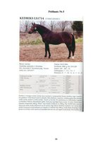 Diplomdarbs 'SIA "Ezernieki-I" drukātās reklāmas izstrāde', 99.