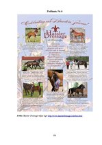 Diplomdarbs 'SIA "Ezernieki-I" drukātās reklāmas izstrāde', 101.