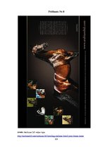 Diplomdarbs 'SIA "Ezernieki-I" drukātās reklāmas izstrāde', 103.