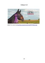 Diplomdarbs 'SIA "Ezernieki-I" drukātās reklāmas izstrāde', 104.