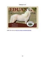 Diplomdarbs 'SIA "Ezernieki-I" drukātās reklāmas izstrāde', 105.