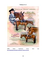 Diplomdarbs 'SIA "Ezernieki-I" drukātās reklāmas izstrāde', 106.