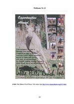 Diplomdarbs 'SIA "Ezernieki-I" drukātās reklāmas izstrāde', 107.