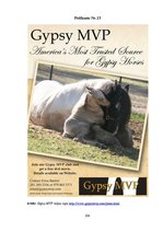 Diplomdarbs 'SIA "Ezernieki-I" drukātās reklāmas izstrāde', 108.