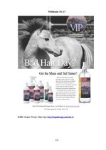 Diplomdarbs 'SIA "Ezernieki-I" drukātās reklāmas izstrāde', 112.