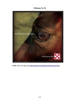 Diplomdarbs 'SIA "Ezernieki-I" drukātās reklāmas izstrāde', 113.