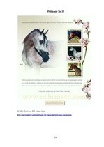 Diplomdarbs 'SIA "Ezernieki-I" drukātās reklāmas izstrāde', 114.