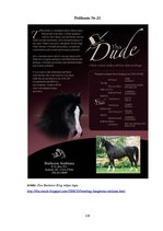 Diplomdarbs 'SIA "Ezernieki-I" drukātās reklāmas izstrāde', 116.