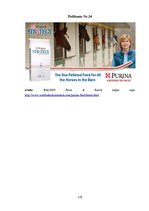 Diplomdarbs 'SIA "Ezernieki-I" drukātās reklāmas izstrāde', 119.