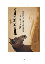 Diplomdarbs 'SIA "Ezernieki-I" drukātās reklāmas izstrāde', 134.