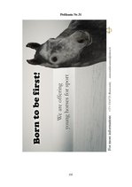 Diplomdarbs 'SIA "Ezernieki-I" drukātās reklāmas izstrāde', 135.