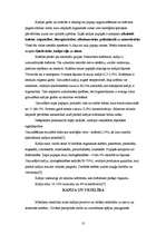 Referāts 'Kafijas noslēpumi', 10.