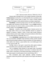 Diplomdarbs 'Jaunākā pirmsskolas vecuma bērnu vārdu krājuma bagātināšana didaktiskajās rotaļā', 15.