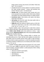 Diplomdarbs 'Jaunākā pirmsskolas vecuma bērnu vārdu krājuma bagātināšana didaktiskajās rotaļā', 26.