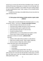 Diplomdarbs 'Jaunākā pirmsskolas vecuma bērnu vārdu krājuma bagātināšana didaktiskajās rotaļā', 39.