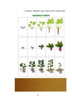 Diplomdarbs 'Jaunākā pirmsskolas vecuma bērnu vārdu krājuma bagātināšana didaktiskajās rotaļā', 78.