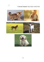 Diplomdarbs 'Jaunākā pirmsskolas vecuma bērnu vārdu krājuma bagātināšana didaktiskajās rotaļā', 80.