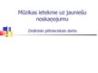 Referāts 'Mūzikas ietekme uz jauniešu noskaņojumu', 35.