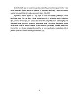 Referāts 'Piparmētra', 8.