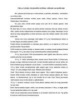 Konspekts 'Latvijas valstiskuma pirmie gadi 1918.-1922.g., iekšpolitiskās un ārpolitiskās p', 3.