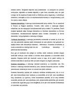 Konspekts 'Rietumu liberālā demokrātija', 9.