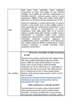 Paraugs 'Sociālās uzņēmējdarbības grants, sagatave', 2.