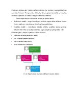 Prakses atskaite 'Studiju prakses atskaite IT uzņēmumā.', 9.